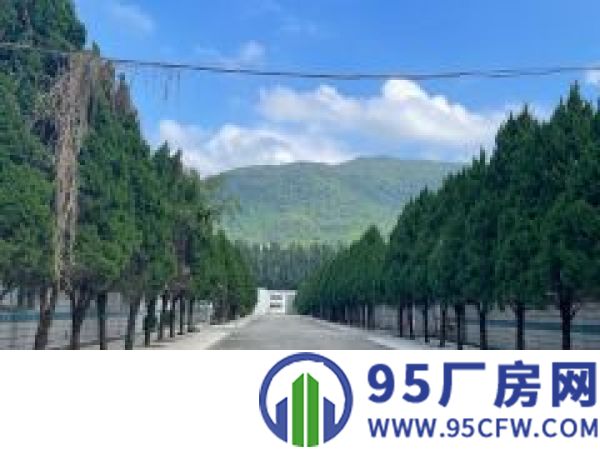 占地6万约场原房东独院钢构位置佳形象好证件齐配套齐空地大