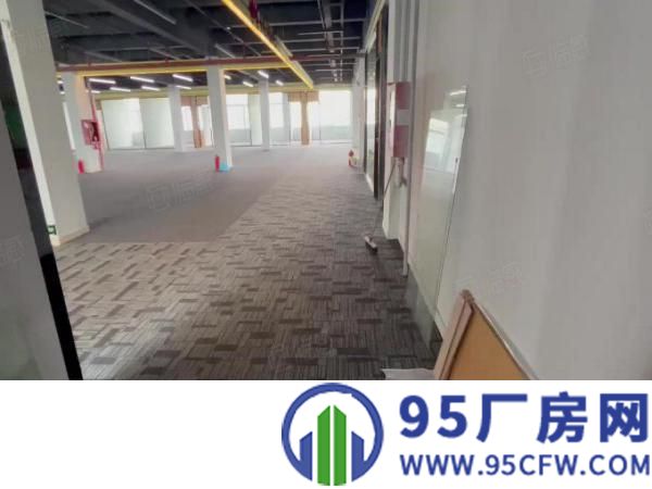 一手房东，盐田沙头角厂房3000平，适合仓库电商