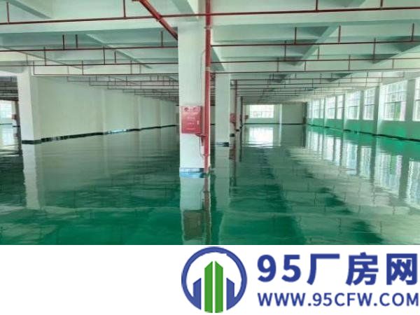 出租厂房3850平方三楼有地坪漆办公室装修