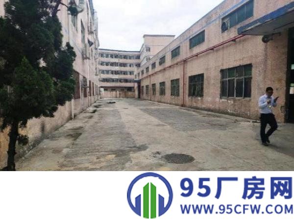 宝安区石岩料坑北环路边厂房招租，独门独院原房东钢结构厂房