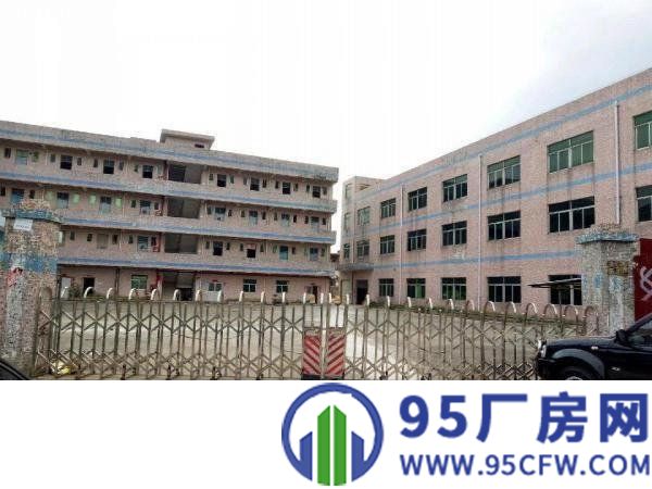 坪山石井市场附近独门独院厂房5800平方