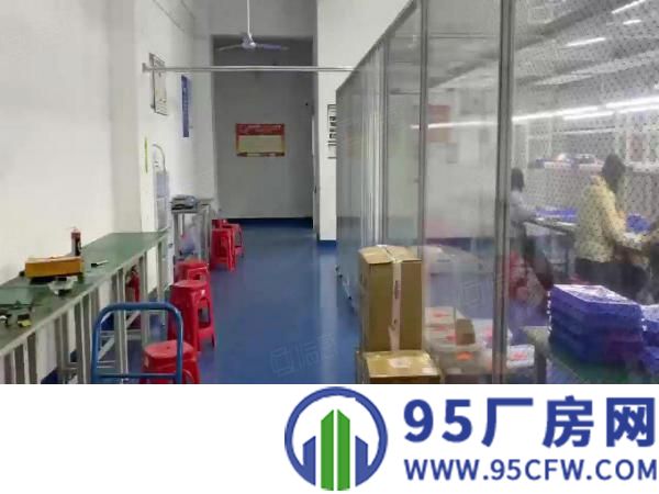 观澜大水坑500平方原房东精装修全新地坪漆厂房出租无公摊