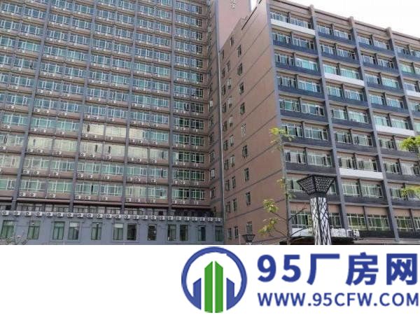 横岗靠盐田新出楼上300平带精装修带红本厂房