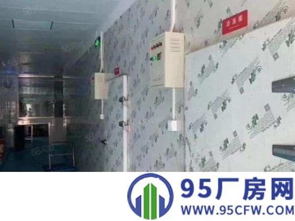 平湖海吉星附近工业园一楼2500平方带冻库厂房出租，可分租！