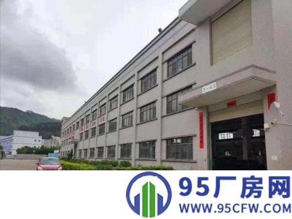原房东低价厂房出租！清溪三星村无公摊带牛角一楼1800平方
