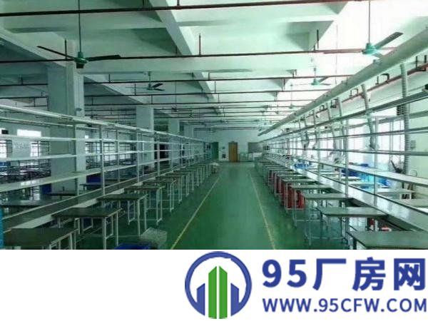 树田工业区原房东独门独院1000平方厂房分租
