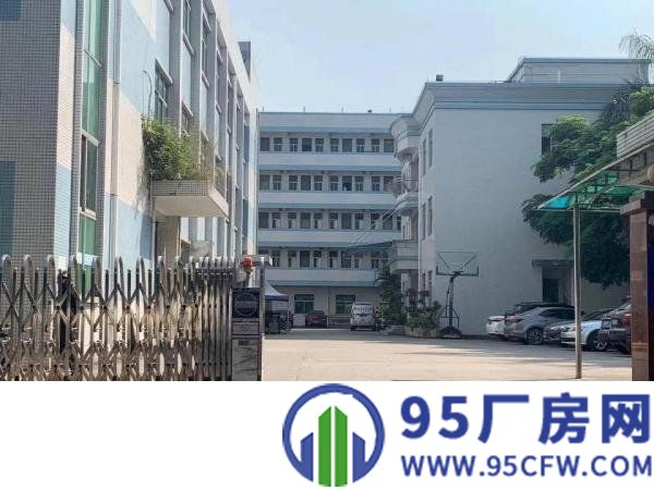 三中村新出一楼600平二楼850平带装修厂房出租
