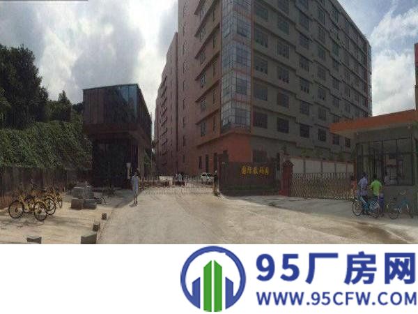 凤岗原房东全新电商工业园单层2800平方按需招租