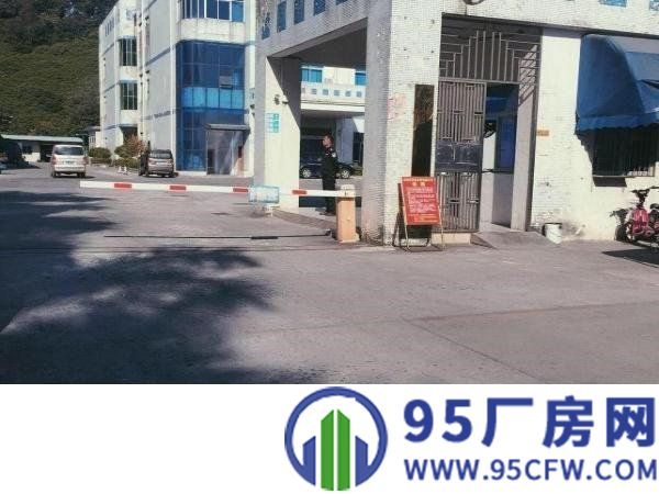 （非中介）樟木头新出800平厂房带装修带电梯场地宽好进货车
