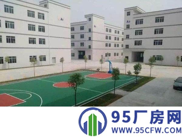 清溪镇高新科技园9500平米独栋标准厂房，报19可谈