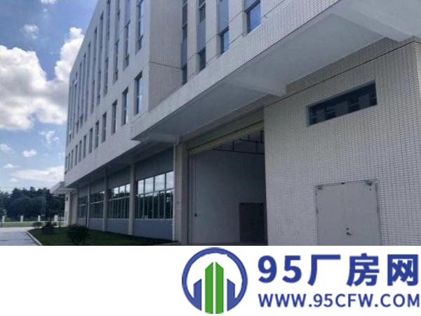 冼沙村新出一楼层高6米800平带牛角位厂房出租
