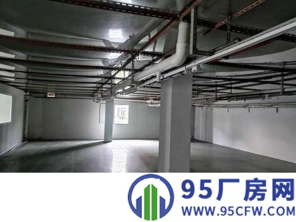 寮步霞边标准独院厂房分租500平方现成装修.